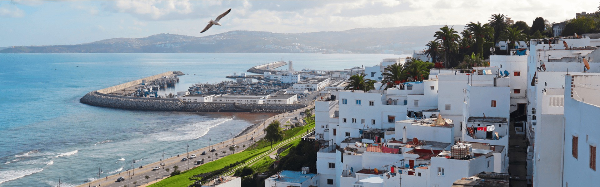 Ahoy_01_2025_Maghreb_Header